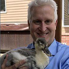 Photo of a person holding a duck